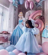 Girls Puff Sleeve Princess Dress.